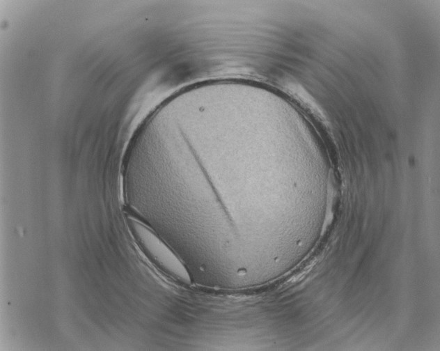 X0000070251324200606301616