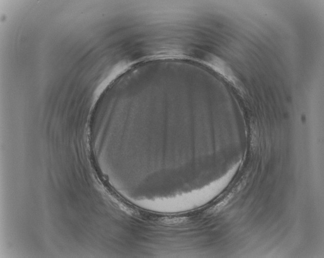 X0000070251325200606301616