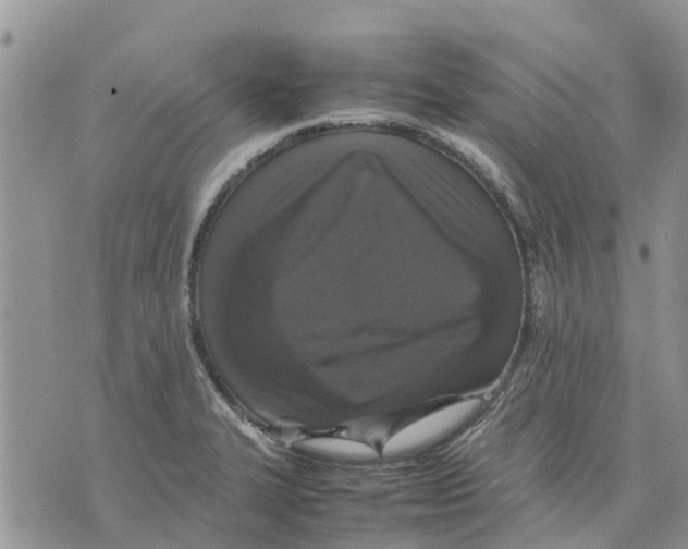 X0000070251327200606301616