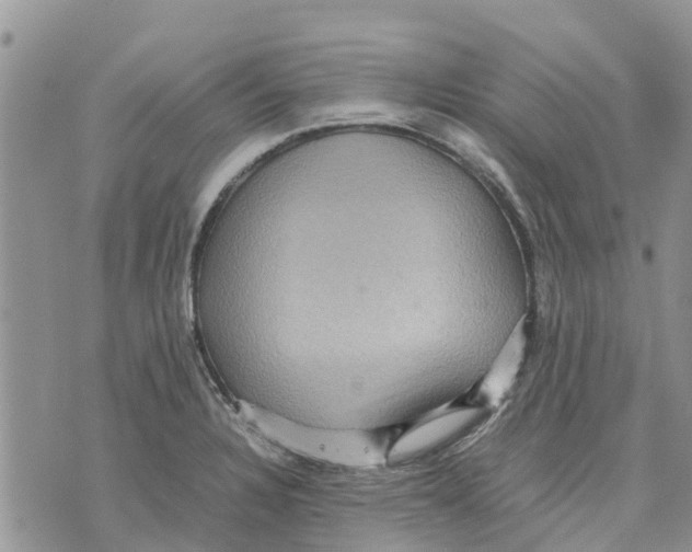 X0000070251328200606301616