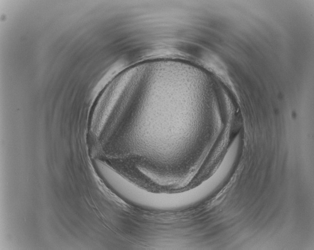 X0000070251330200606301616