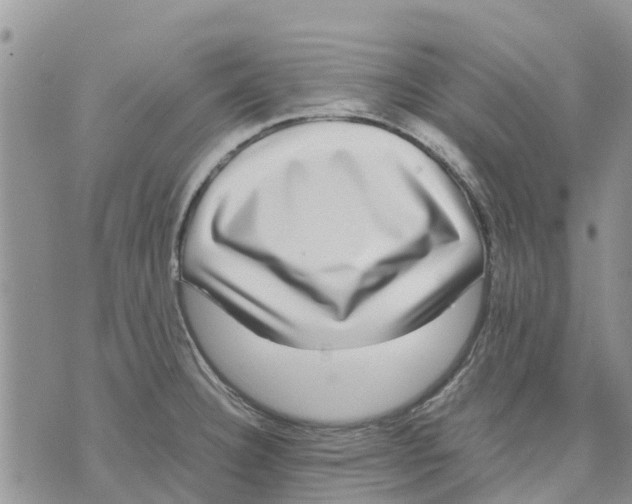 X0000070251332200606301616