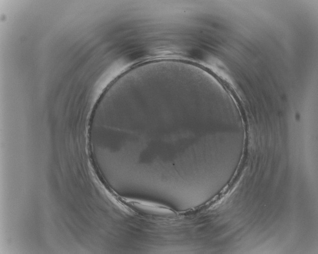 X0000070251333200606301616