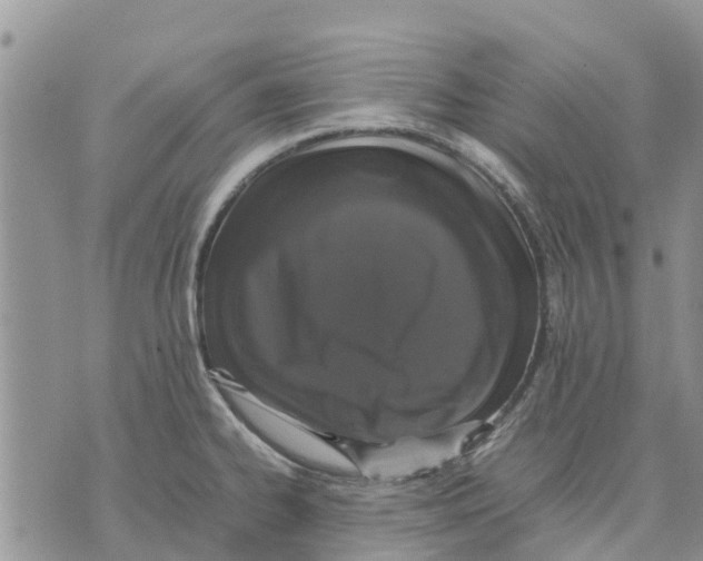 X0000070251334200606301616