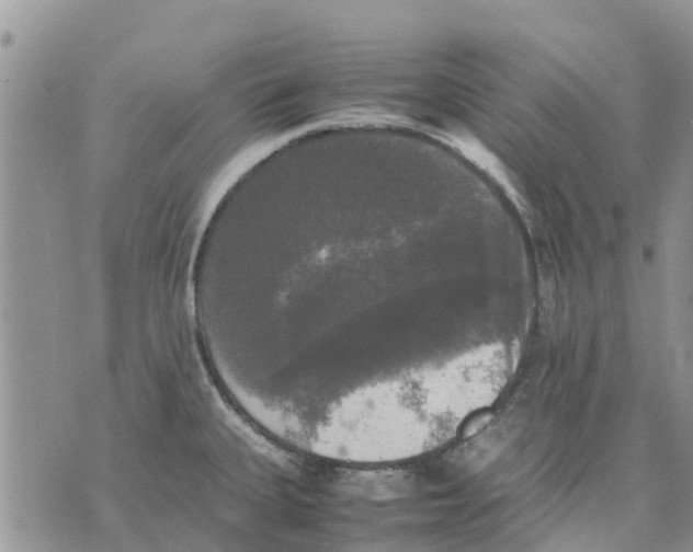 X0000070251335200606301616