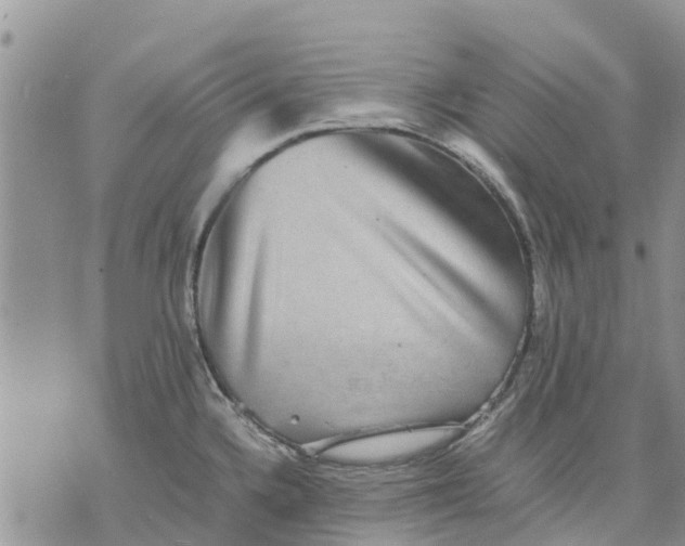 X0000070251336200606301616