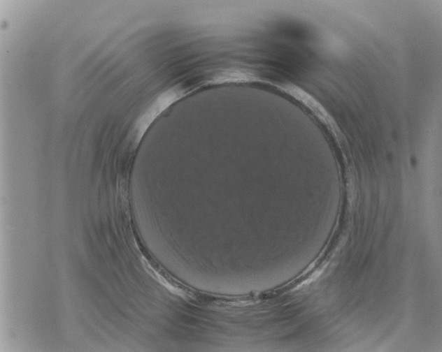 X0000070251337200606301616