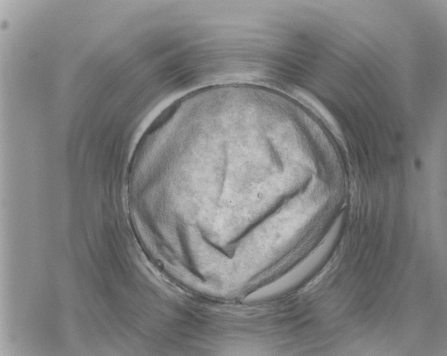 X0000070251340200606301616