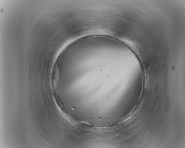 X0000070251342200606301616