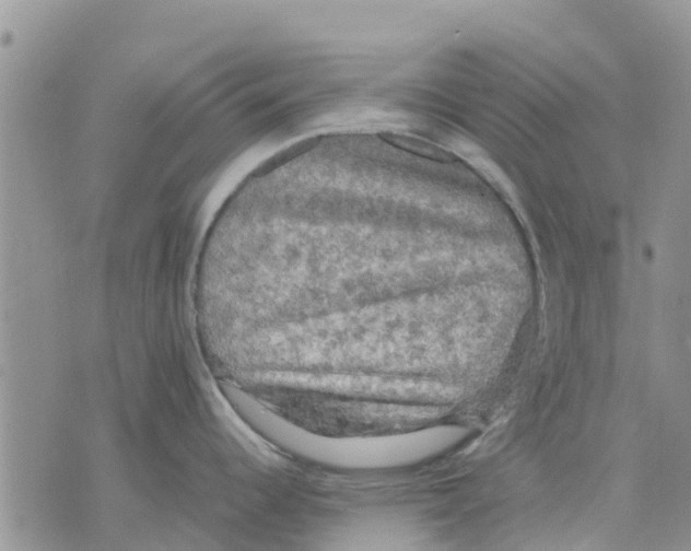 X0000070251344200606301616