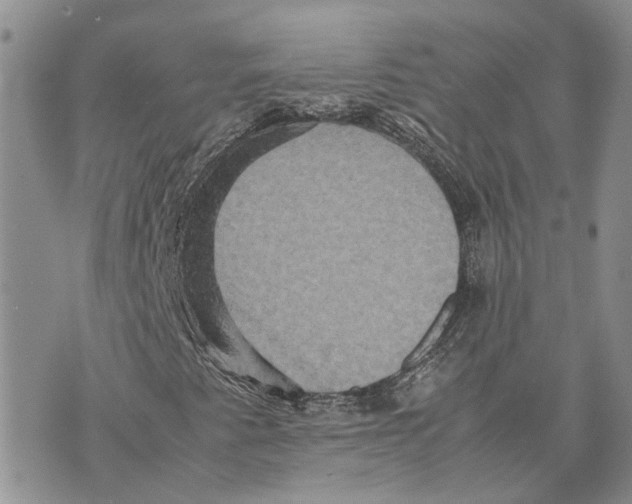 X0000070251345200606301615