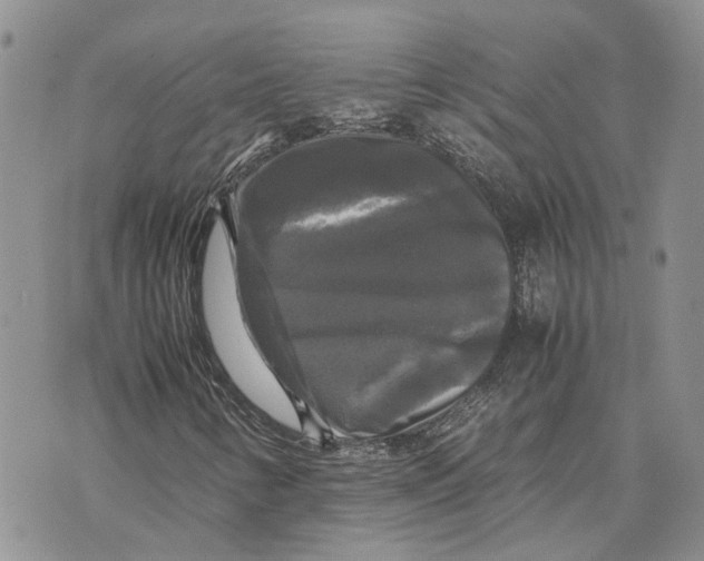 X0000070251346200606301615