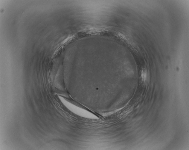 X0000070251348200606301615