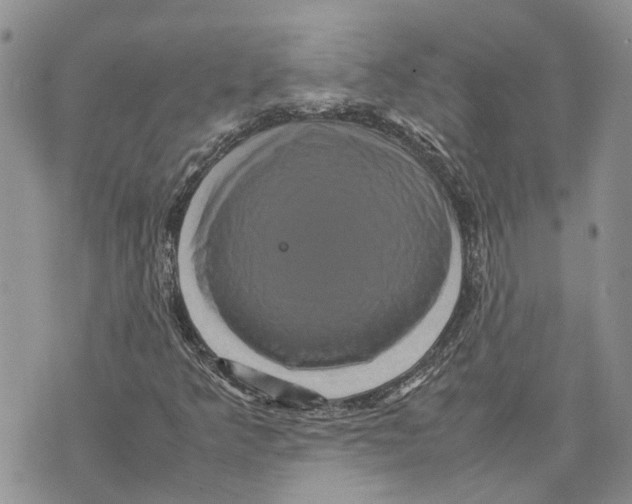 X0000070251349200606301615