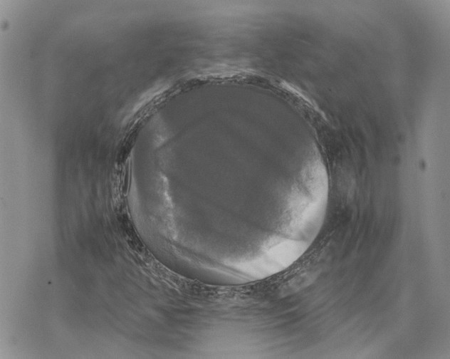 X0000070251350200606301615