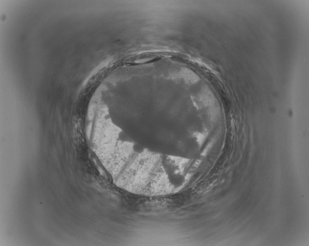 X0000070251351200606301615