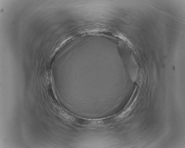 X0000070251353200606301615