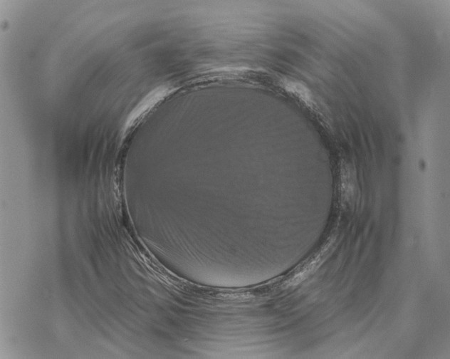 X0000070251354200606301615