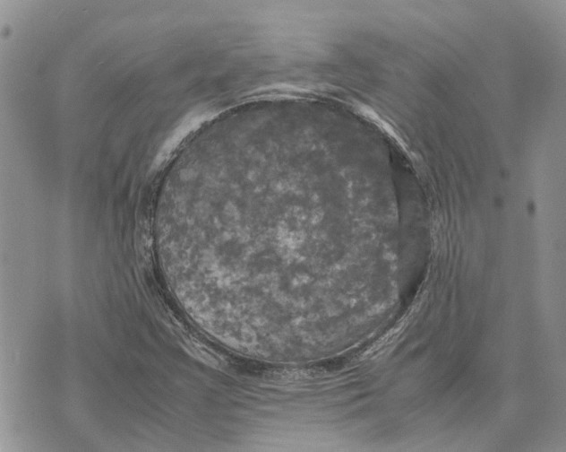 X0000070251355200606301615