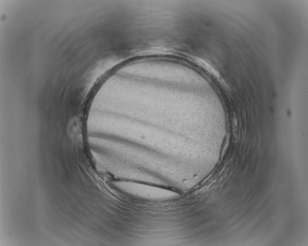 X0000070251356200606301615