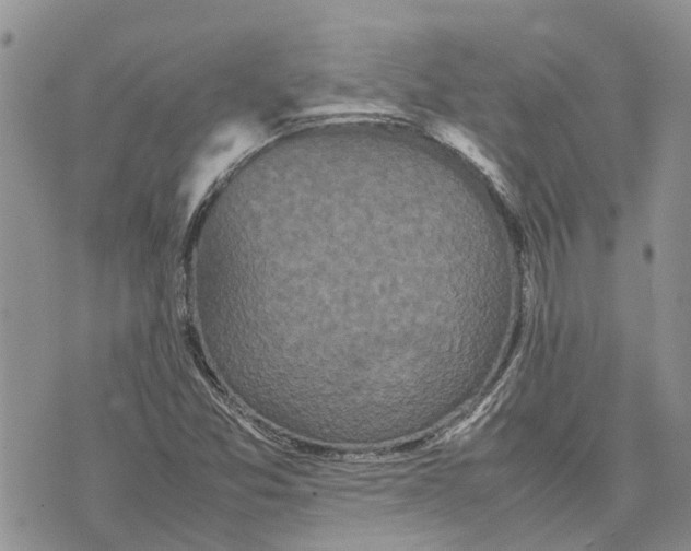 X0000070251357200606301615