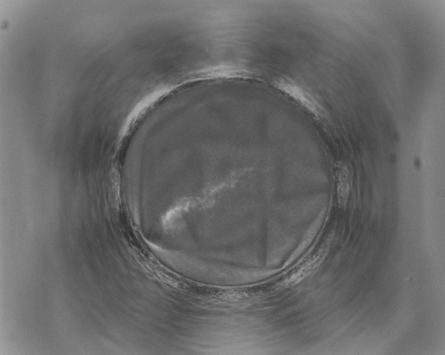 X0000070251358200606301615