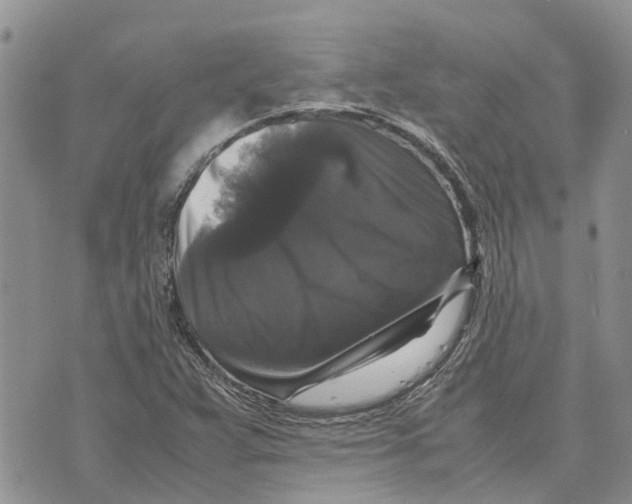 X0000070251359200606301615