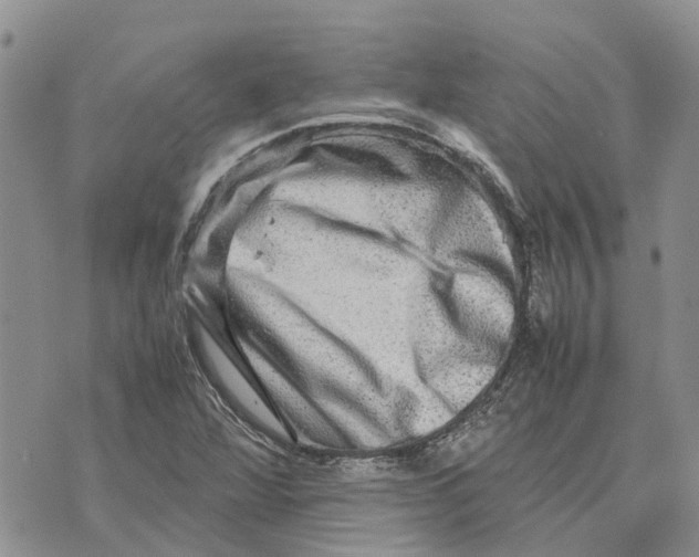 X0000070251360200606301615