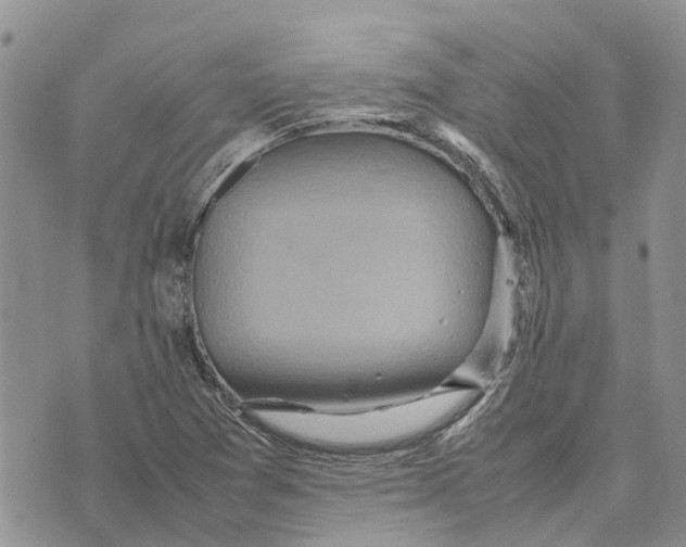 X0000070251361200606301615