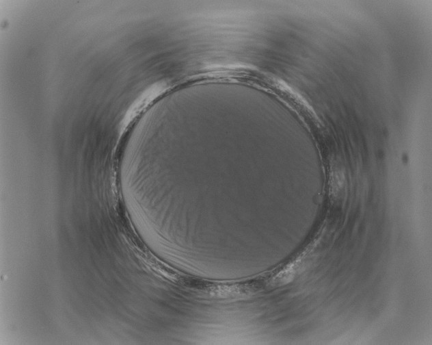 X0000070251362200606301615