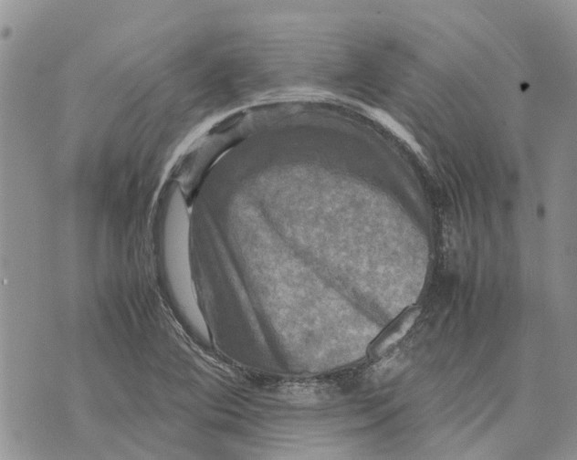 X0000070251364200606301615