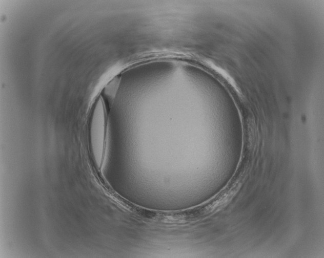 X0000070251365200606301615