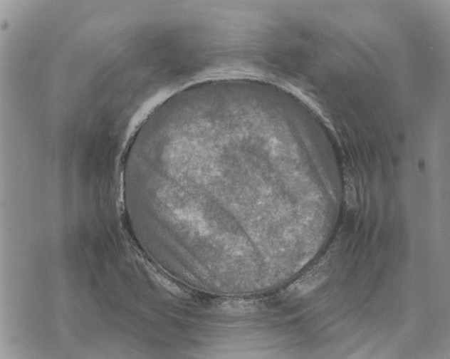 X0000070251366200606301615