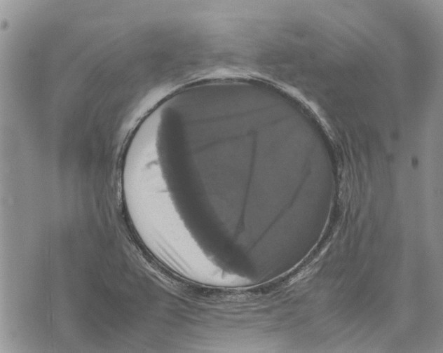 X0000070251367200606301615