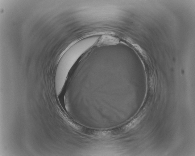 X0000070251369200606301615