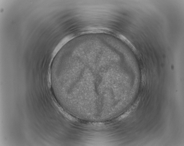 X0000070251370200606301615