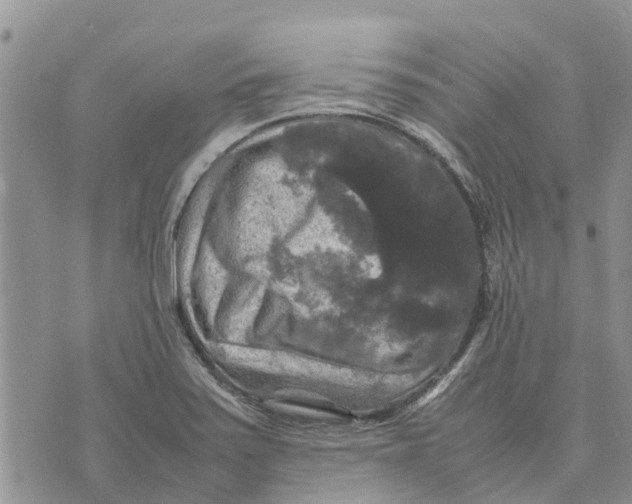 X0000070251371200606301615