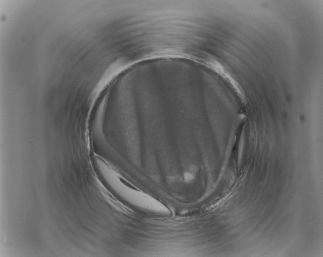 X0000070251372200606301615