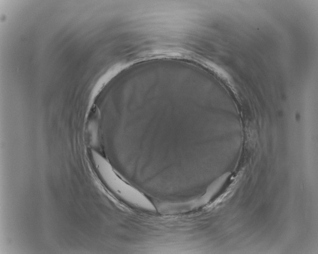 X0000070251373200606301615