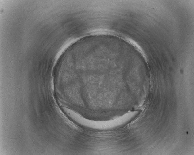 X0000070251376200606301615