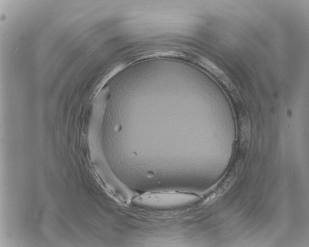 X0000070251377200606301615