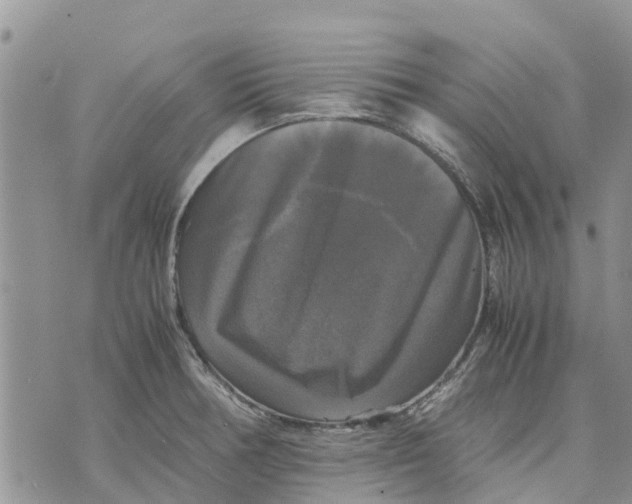 X0000070251378200606301615