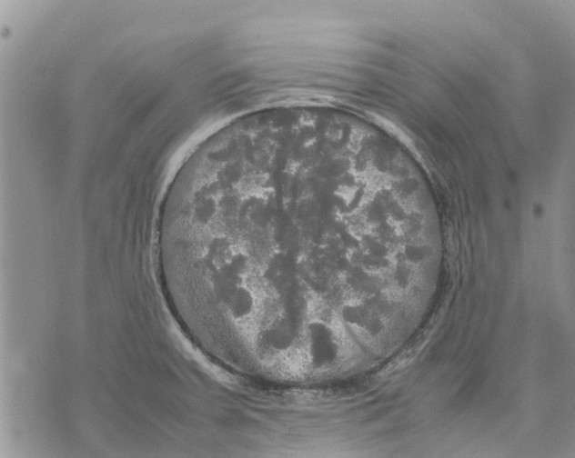 X0000070251379200606301615