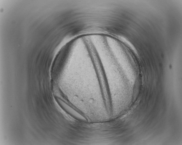 X0000070251380200606301615