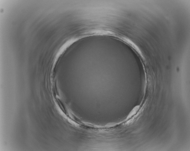 X0000070251381200606301615