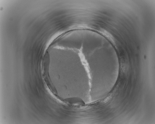 X0000070251382200606301615