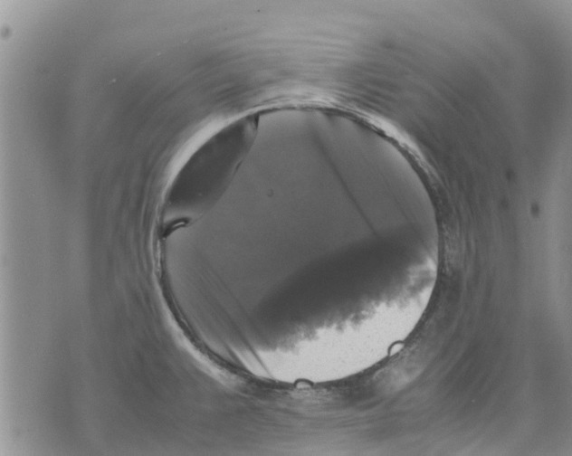 X0000070251383200606301615