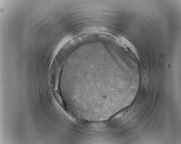 X0000070251384200606301615