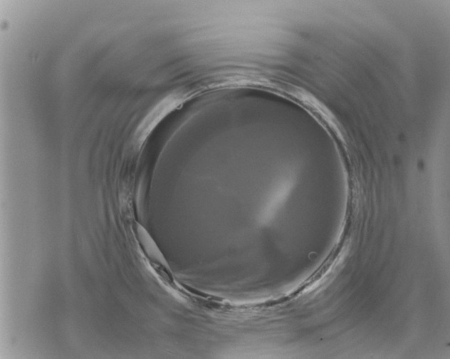 X0000070251385200606301615