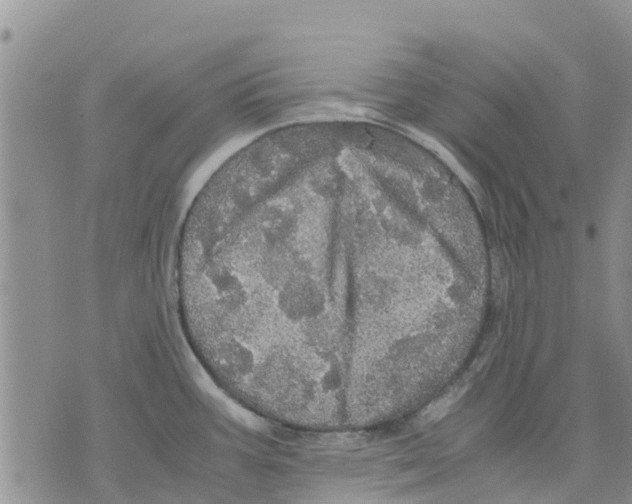 X0000070251387200606301615